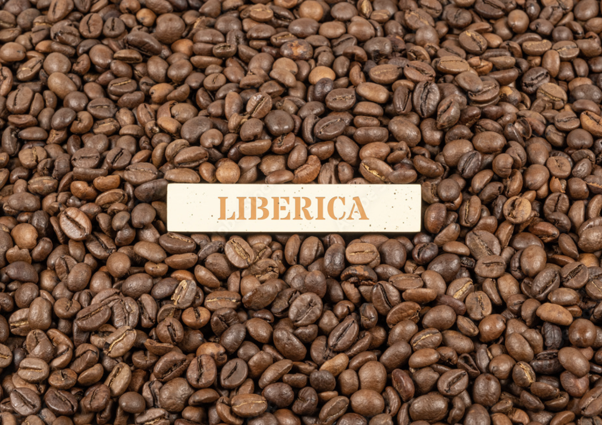 เมล็ดกาแฟ Liberica: รสชาติและกลิ่นหอมของ Exotica